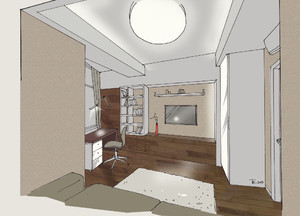 Заказать  заочно индивидуальный Блиц-дизайн-проект интерьеров жилого пространства в г. Никосия  . Кабинет 10 м2